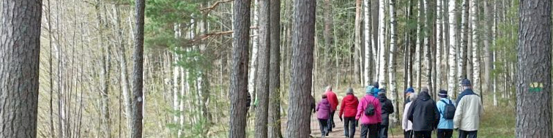 Imatran seniorit: Liikuttiin yhdessä kansallismaisemassa