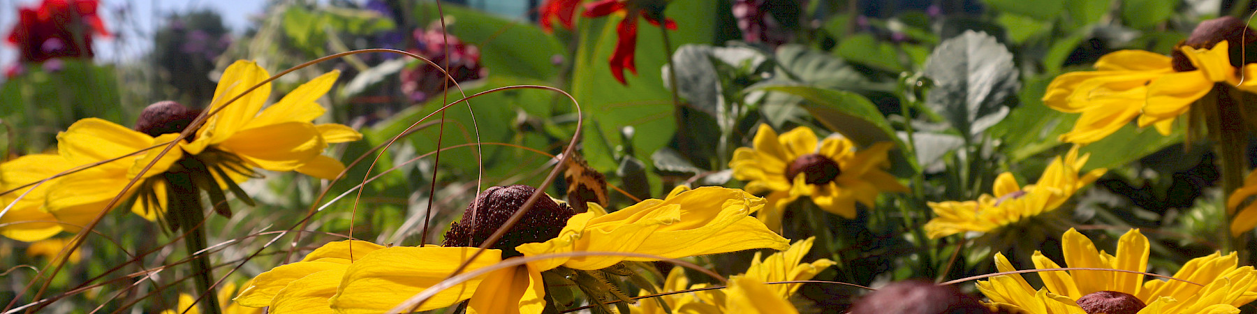 EETU lausui sähköisen tiedoksiannon ensisijaisuutta viranomaistoiminnassa koskevasta lainsäädännöstä