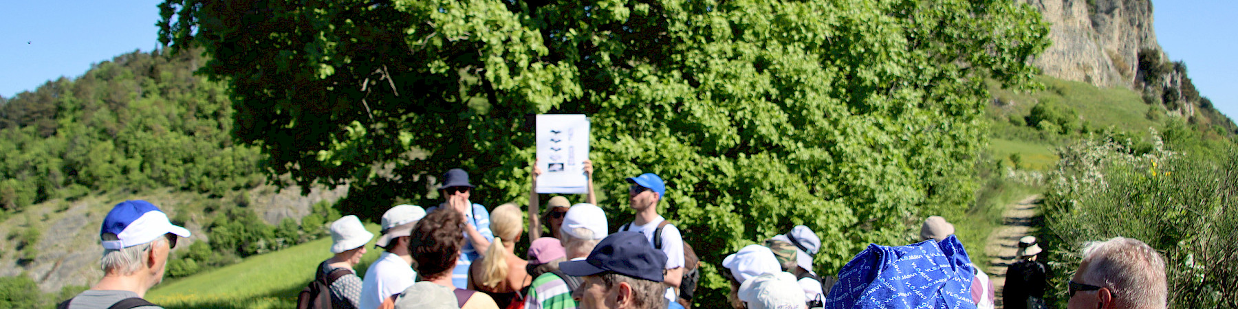 Matkalla kohti elämyksiä – Senioriliiton loppuvuoden 2025 ja vuoden 2026 matkat kutsuvat