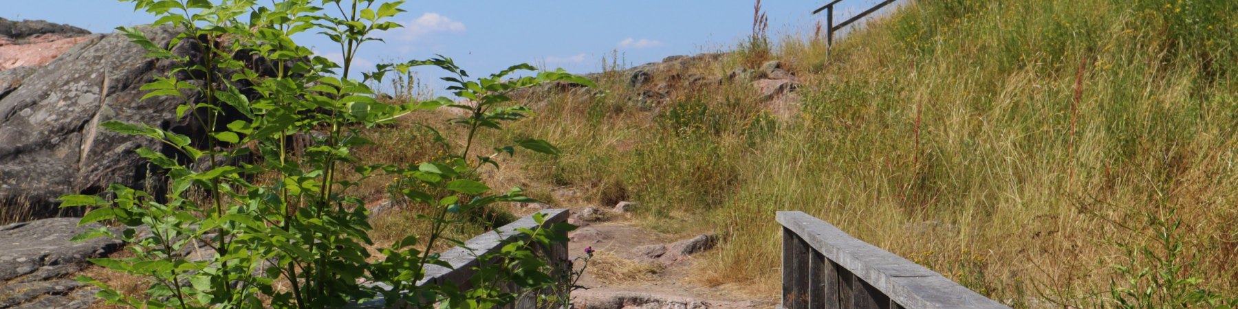 Mitä Rohkeasti seniori -hanke on onnistunut tuomaan kurssilaistensa eläkeaikaan?