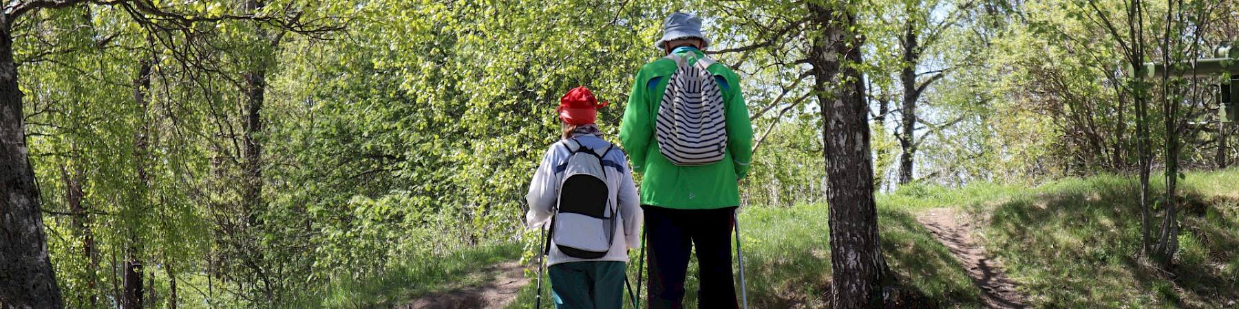 JÄRJESTÖT, IHMISOIKEUSKESKUS JA VANHUSASIAVALTUUTETTU VAATIVAT: VANHUSTEN OIKEUS IHMISARVOISEEN HOIVAAN TURVATTAVA