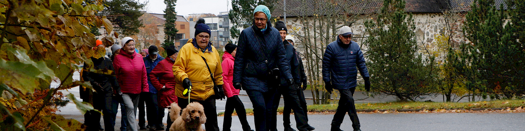 Kangasalan kansalliset seniorit osallistuivat Niinistön kävelyhaasteeseen